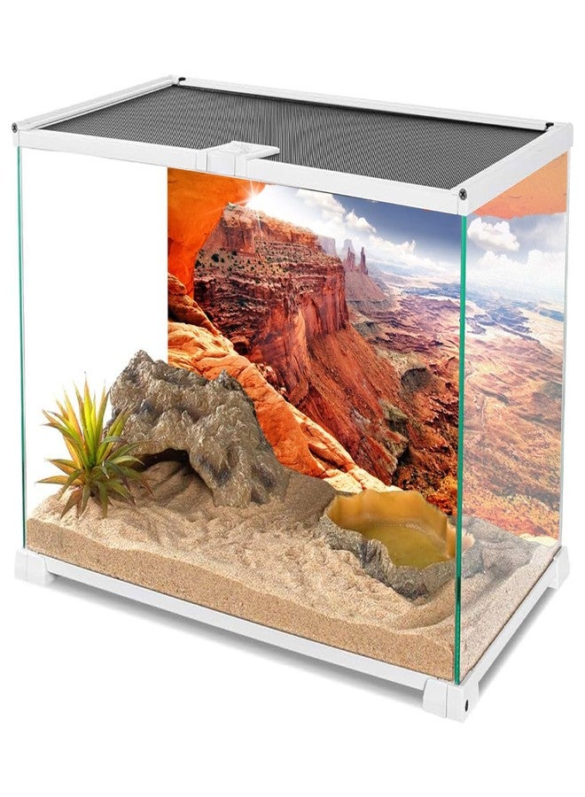 AWERT Stone Reptile Habitat Background Sky Oasis Mountain Cactus Sun and Desert Terrarium Background 48x24 inches Polyester Background - Image 3